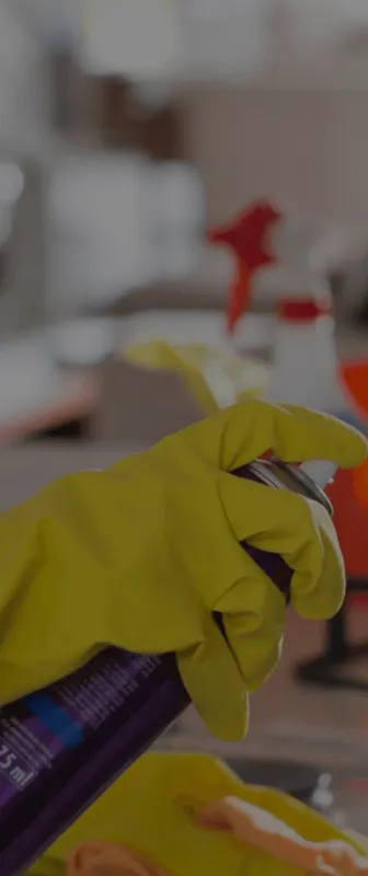 Cleaners Available in Mapleton